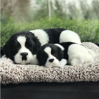 chú chó bông than hoạt tính trang trí taplo oto khử mùi