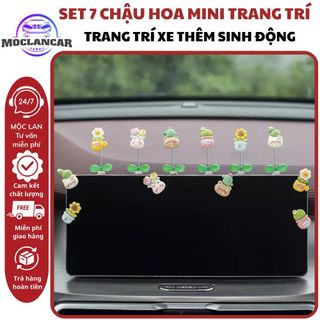 Set 7 Chậu Hoa Mini Lò Xo Lắc Lư Trang Trí Taplo Ô Tô Trang Trí Xe Thêm Sinh Động Dễ Thương