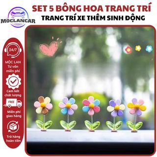 Set 5 Bông Hoa 6 Cánh Mini Lò Xo Lắc Lư Trang Trí Taplo Ô Tô Trang Trí Xe Thêm Sinh Động Dễ Thương