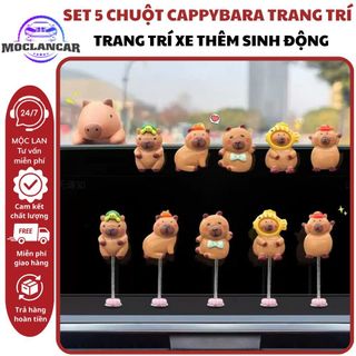 Sét 5 Chuột CAPPYBARA Mini Lò Xo Lắc Lư Trang Trí Taplo Ô Tô Trang Trí Xe Thêm Sinh Động Dễ Thương