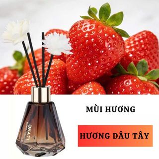 OKATI – Tinh Dầu Thơm Phòng & Ô Tô Khuếch Tán, Thơm Lâu Trang Trí Sang Trọng
