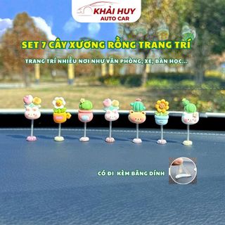 SET 7 Cây Xương Rồng Lắc Lư Trang Trí Xe, Bàn Làm Việc, Bàn Học... Khaihuyauto