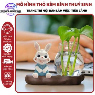 Mô Hình Thỏ Lucky Kèm Bình Thuỷ Trang Trí Bàn Làm Việc Tiểu Cảnh Thêm Sinh Động