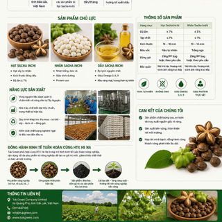 Hạt Sachi Tuk Green – Nguồn dinh dưỡng tự nhiên, lựa chọn bền vững