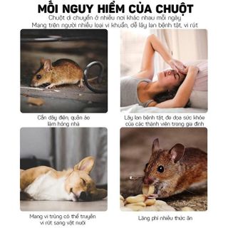 Sáp đuổi chuột-Sáp gắn khaong máy ô tô-xua đuổi chuột chú ẩn cắn phá