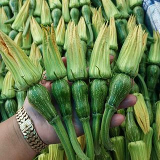Bí Nụ Đà Lạt Tươi Sạch – Giá Tốt Sỉ/Lẻ | Dalat Farm