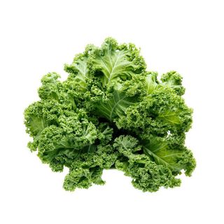 Cung cấp sỉ cải kale Đà Lạt tươi sạch – giá tốt cho shop, quán nước ép, salad