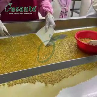 Frozen Passion Fruit Pulp with seed