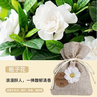 (BÁN SỈ) Túi Vải Đựng Hoa Thơm Làm Quà Tặng - Túi Thơm Khử Mùi Treo Phòng, Tủ Quần Áo, Xe Hơi