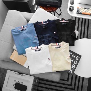 Áo thun nam. Chất thun cotton 4c cao cấp xịn. Mẫu basic bán quanh năm.