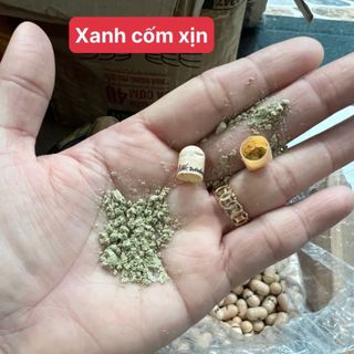 Viên tăng cân wis.dom