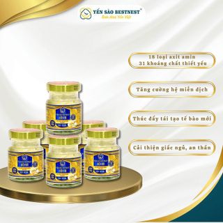 YẾN SÀO BESTNEST HỘI AN - HŨ YẾN CHƯNG SẴN NHÂN SÂM 18% - HŨ 70ML