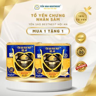 [MUA 1 TẶNG 1] YẾN SÀO BESTNEST HỘI AN - TỔ YẾN CHƯNG SẴN NHÂN SÂM 18% - HỘP QUAI XÁCH 6 HŨ X 70ML