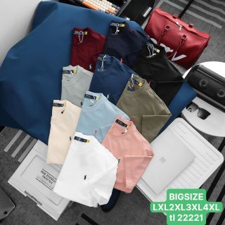 Áo thun nam. chất thun cotton 4c cao cấp,  logo thêu sắc nét.