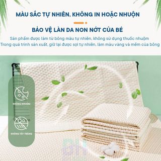 Tấm lót chống thấm đa năng BH Kids cho bé, cho mẹ sau sinh, người cao tuổi Organic cao cấp, mềm mại, dùng cả 2 mặt-CH132