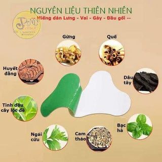 HỘP 12 MIẾNG DÁN VAI GÁY (T200)