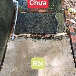 𝗧𝗛𝗨Ố𝗖 𝗗𝗜Ệ𝗧 𝗥𝗢𝗡𝗚 𝗥𝗘̂𝗨 , 𝗡Ấ𝗠 𝗠Ố𝗖 𝗖𝗛𝗢 𝗦𝗔̀𝗡 𝗫𝗜 𝗠𝗔̆𝗡𝗚 , 𝗦𝗔̀𝗡 𝗚Ạ𝗖𝗛