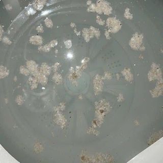 NƯỚC TẨY VỆ SINH LỒNG MÁY GIẶT LOẠI BỎ NẤM MỐC