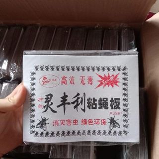 VỈ KEO DÍNH RUỒI SIÊU HIỆU QUẢ, SIÊU NHANH