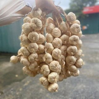 DÂY NÔNG SẢN TRANG TRÍ - CỦ QUẢ GIẢ - TRANG TRÍ QUÁN CÀ PHÊ, BẾP, QUÁN ĂN, LỄ HỘI, NHÀ HÀNG, KHÁCH SẠN