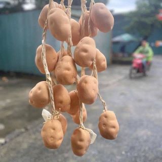 DÂY NÔNG SẢN TRANG TRÍ - CỦ QUẢ GIẢ - TRANG TRÍ QUÁN CÀ PHÊ, BẾP, QUÁN ĂN, LỄ HỘI, NHÀ HÀNG, KHÁCH SẠN