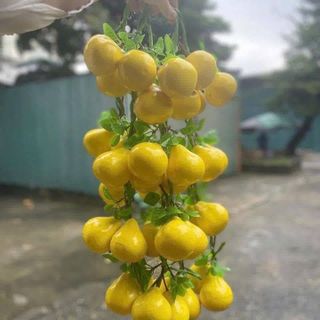 DÂY NÔNG SẢN TRANG TRÍ - CỦ QUẢ GIẢ - TRANG TRÍ QUÁN CÀ PHÊ, BẾP, QUÁN ĂN, LỄ HỘI, NHÀ HÀNG, KHÁCH SẠN