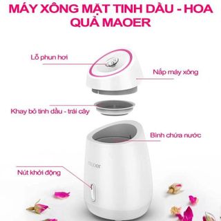 MÁY XÔNG MẶT, XÔNG HOA QUẢ, TINH DẦU