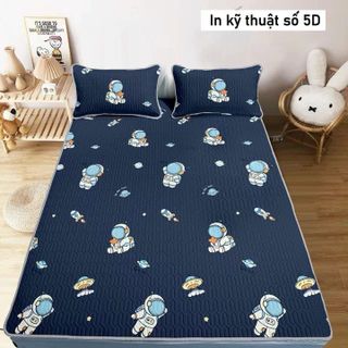 CHIẾU ĐIỀU HÒA CAO SU NON