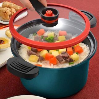 NỒI ÁP SUẤT 24cm OTIPOTENT POT (T10)