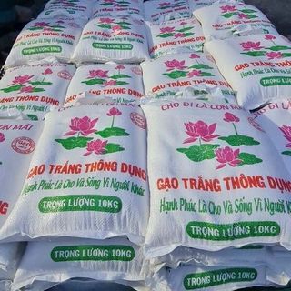 GẠO HỖ TRỢ THIỆN NGUYỆN