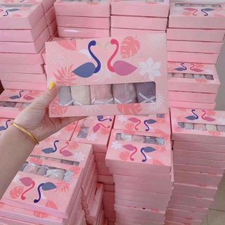 QUẦN CHÍP HẠC HỒNG SIÊU MÁT, SIÊU THẤM HÚT