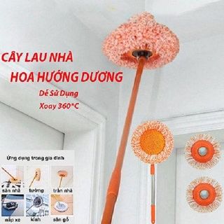 CÂY LAU NHÀ, LAU TRẦN NHÀ HÌNH HOA HƯỚNG DƯƠNG