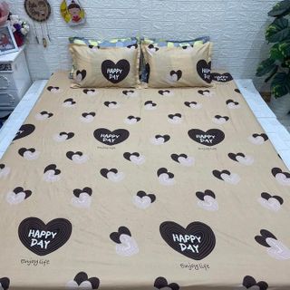 BỘ GA + 2 VỎ GỐI CHẤT LIỆU POLY