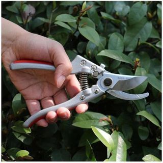 KÉO CẮT CÀNH CÂY SADA 210 NHẬT BẢN 20CM