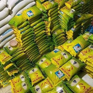 GẠO ST25 ông của xuất khẩu