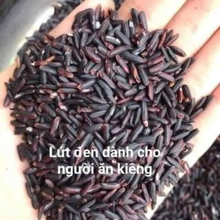 GẠO TÍM THAN Tây BẮC