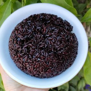 GẠO TÍM THAN Tây BẮC
