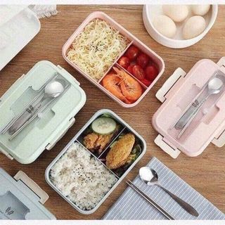 HỘP ĐỰNG CƠM LÚA MẠCH KÈM ĐŨA VÀ THÌA INOX