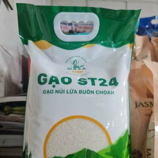 Gạo st24 Đắk Lắk