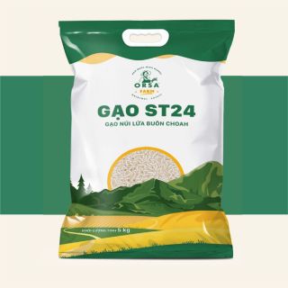 Gạo st24 Đắk Lắk