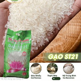GẠO ST21 SÓC TRĂNG