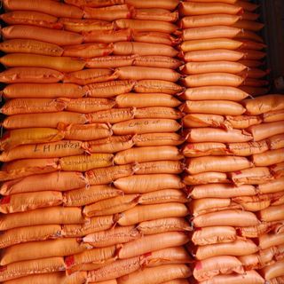 GẠO THƠM LÀI 4 THÁNG