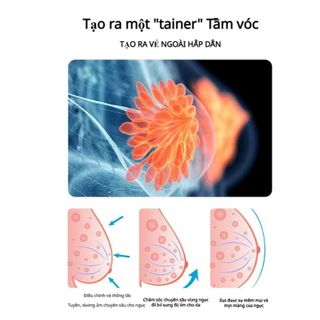 Miếng Dán Huyệt Vị Thảo Dược Tăng Size V1