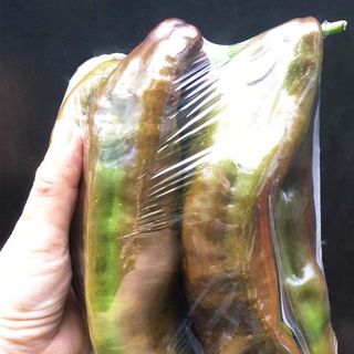 Cung Cấp Ớt Sweet Palermo Đà Lạt Tươi Ngon Giá Tốt - Sỉ & Lẻ TP.HCM