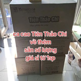 Ca cao Tiên Thảo Chi giá sỉ