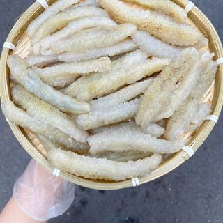 Hải Sâm Gai Vàng Con To hàng chất lượng 500g (Hỏa Tốc)