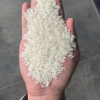 GẠO ST25 KHUYẾN MÃI ÁP DUNG 100 KHÁCH