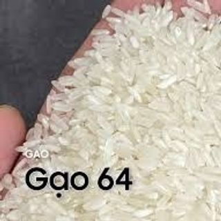 GẠO 64 MÊM THƠM