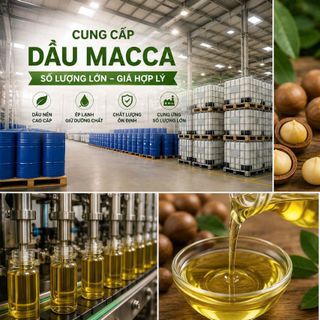 Dầu Macca – Dầu nền mỹ phẩm cao cấp cho xu hướng chăm sóc da tự nhiên