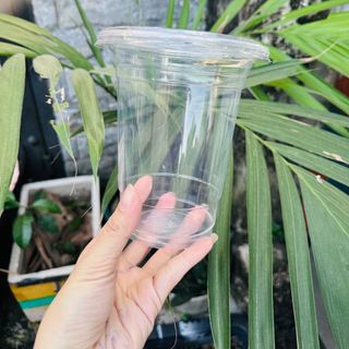 Ly nhựa 800ml PP mini - /1 thùng 1000 cái